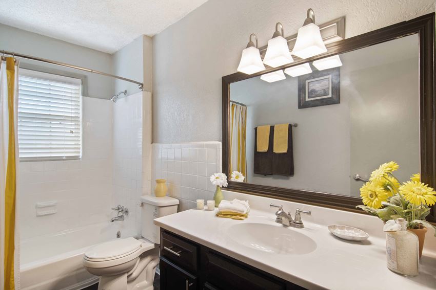 Audubon Briarcliff Apartments, 3108 Briarcliff Rd NE, Atlanta, GA